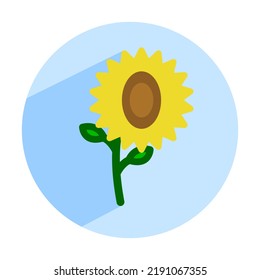 flat vector illustration of sunflower icon on blue background with shadow. sunflower logo on isolated background. for stickers, avatars.