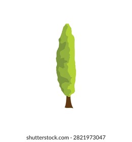Flat vector illustration of a tall, slender columnar cypress tree, isolated on a white background.