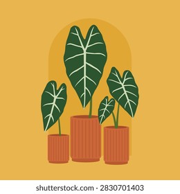 Flat vector illustration three