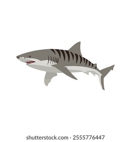 Flat vector illustration of a tiger shark with gray body, tiger stripes, streamlined shape, sleek and minimal design, modern aesthetic