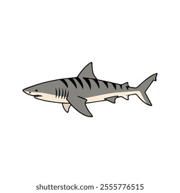 Flat vector illustration of a tiger shark with gray body, tiger stripes, streamlined shape, sleek and minimal design, modern aesthetic