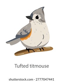 Flat vector illustration of a tufted titmouse perched on a branch in side view. Small crested songbird isolated on a white background.