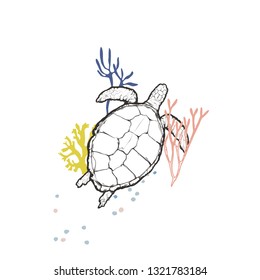 Flat vector illustration - Turtle with the corals isolated on white background