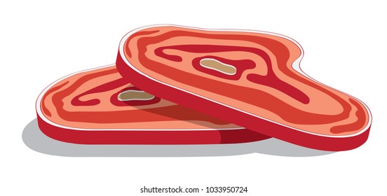 Flat Vector Illustration. Two fresh pieces of meat