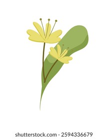 Flat vector illustration of two yellow flowers with green leaves, isolated on a white background. Perfect for floral or botanical-themed designs