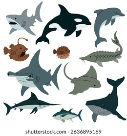 Flat vector illustration of various sea animals including sharks, dolphins, whales, stingray, swordfish, pufferfish, and anglerfish on white background. Vector illustration