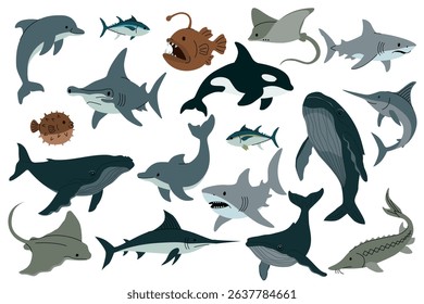 Flat vector illustration of various sea animals including sharks, dolphins, whales, stingray, swordfish, pufferfish, and anglerfish on white background. Vector illustration
