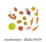 Flat vector illustration of a vegetable collection featuring tomatoes, beet, onions, cabbage, carrots, potatoes, pepper and garlic. Fresh vegetables isolated on white, ideal for food and cooking designs.