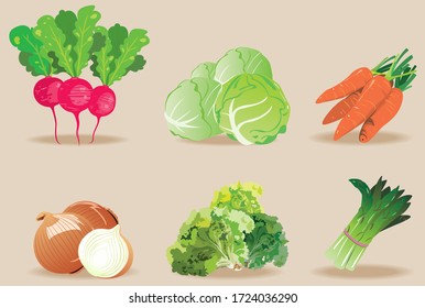 Flat vector illustration of vegetables on a light background. 