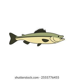 Flat vector illustration of a walleye with greenish-yellow body, dark horizontal stripes, sleek and minimal design, modern aesthetic