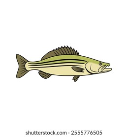 Flat vector illustration of a walleye with greenish-yellow body, dark horizontal stripes, sleek and minimal design, modern aesthetic