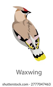 Flat vector illustration of a waxwing in side view. Songbird with crest isolated on a white background.