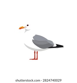 Flat Vector Illustration of a White and Gray Seagull Bird Standing Isolated on White Background