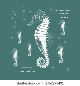 Flat vector illustration with white seahorse on blue background.