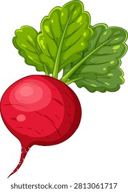 Flat vector illustration of a whole red radish root with vibrant green leafy tops.