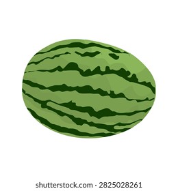 A flat vector illustration of a whole uncut watermelon with a dark green striped rind. Ideal for summer branding, fresh food packaging, healthy lifestyle content, garden and harvest designs, and tropical fruit collections. 