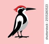Flat Vector Illustration of Woodpecker with Bold Red Head Patch and BlackWhite Body