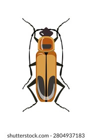 Flat vector illustration of a yellow and black soldier beetle isolated on white background.