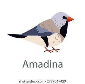Flat vector illustration of a zebra finch (amadina) in side view. Small exotic finch bird isolated on a white background, suitable for educational and design use.