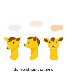 Flat vector illustrator of cute animal character. Front view and Side view of face.