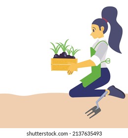 Flat vector illustrator, woman holds sprouts pickup, planting or gardening concept, springtime hobby