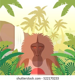 Flat vector image of the Baboon on the Jungle Background