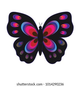 Flat vector image of a butterfly. Beautiful butterfly isolated on white background. Illustration for designer