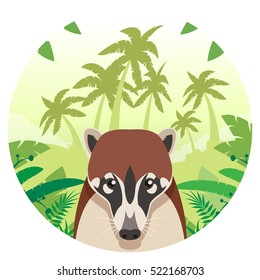 Flat Vector image of the Coati on the Jungle Background