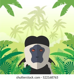 Flat Vector image of the Colobus on the Jungle Background