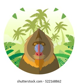 Flat Vector image of the Mandrill on the Jungle Background