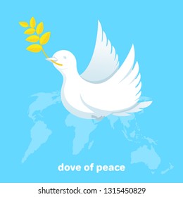 flat vector image on blue background, white dove of peace, map