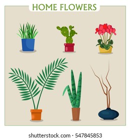 Flat vector image. Set of home flowers in pots. House plants.