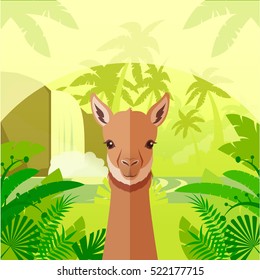 Flat Vector image of the Vicuna on the Jungle Background