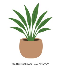 Flat vector indoor plant with long upright green leaves in a simple round ceramic pot.