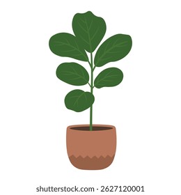 Flat vector indoor plant with long upright green leaves in a simple round ceramic pot.