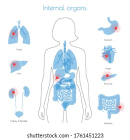Flache Vektorgrafik einzeln auf Schmerzen und Entzündungen im erwachsenen menschlichen Körper. Anatomie des Verdauungssystems. Ösophagus, Magen, Zwölffingerdarm und andere innere Organe - Symbol. Medizinisches Informationsposter.
