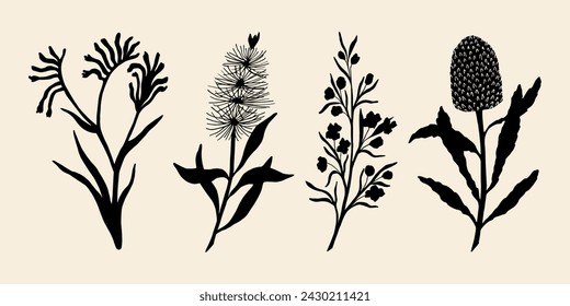 Flat vector kangaroo paw, bottlebrush, boronia, banksia. Australian native flowers