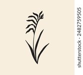 Flat vector kangaroo paw illustration