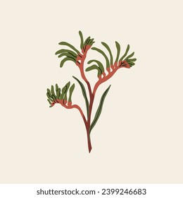 Flat vector kangaroo paw illustration