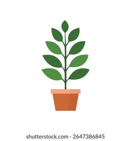 Flat vector of leafy potted plant, perfect for botanical decor and interior design. Simple indoor houseplant isolated on white background, ideal for creative and eco-friendly projects.