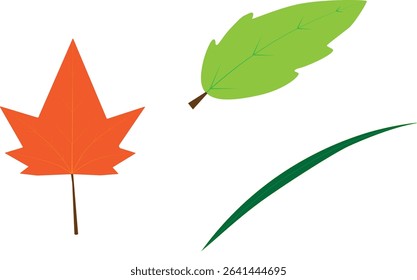 flat vector leaves collection - maple,tropical and blade