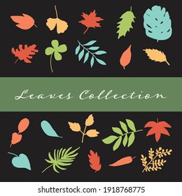 Vector plano, vector de colección de hojas, vector de planta en color pastelero