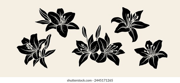 Flat vector lily flowers collection