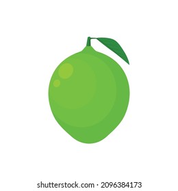 Flat vector of  Lime isolated on white background. Flat illustration graphic icon
