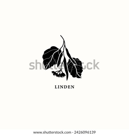 Flat vector linden twig illustration
