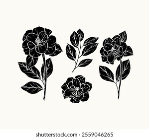 Flat vector line art camellia flowers collection