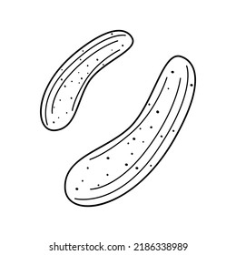 Flat vector linear illustration of a cucumber in the doodle style on a white background.