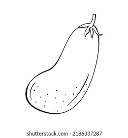 Flat vector linear illustration of eggplant in doodle style on a white background.