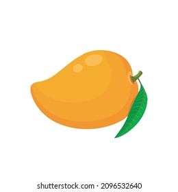 Flat vector of mango, Tropical and exotic fruit type  isolated on white background. Flat illustration graphic icon