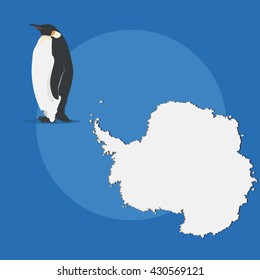 Flat Vector map animal penguin royal Antarctic
